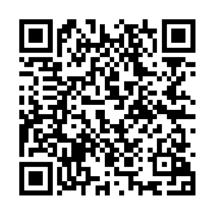 我们还对有可能出现的变种通过计算机进行了分析二维码生成