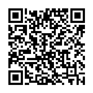 我们还必须跟愿意接受测试的玩家签署信息反馈协议二维码生成