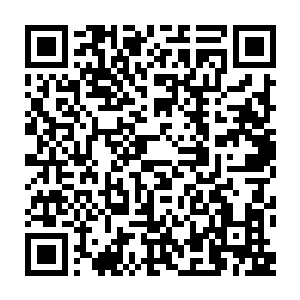 我们还是会从人类世界里面删选出了一部分的修真者出来进行高密度的训练二维码生成