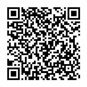 我们这次天罗地网很难阻止敌人小世界直接攻击……高层或有办法二维码生成