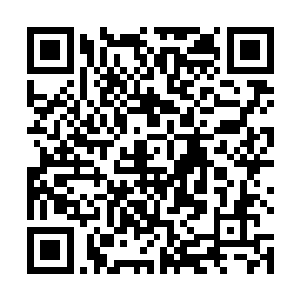 我们这边通天榜第二档次和第三档次的强者超出二十位二维码生成