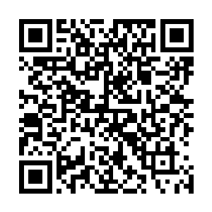 我们远古凰城是神域凤族在下界设立的三大王级试炼地之一二维码生成