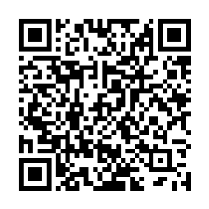 我们连他的手怎么动的都没有看清就被打的连滚带爬了二维码生成