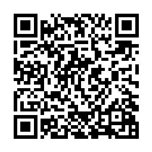 我们送出的永久住房绝对是按照总统房的格局建造的二维码生成