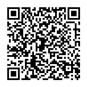 我们长阳府已经不在是一个仅仅在这片地域内有些小名气的小家族了二维码生成