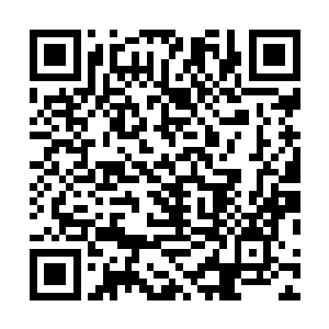 我们魔宫会根据这个任务评价来核算接取之人的任务奖励二维码生成
