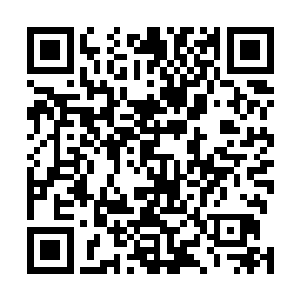 我会在随笔里尽量坦诚的谈论自己的过去和对人生的理解二维码生成