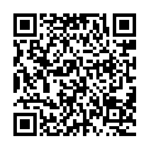 我会带你一起走……和你同生同死……因为我知道你爱我二维码生成