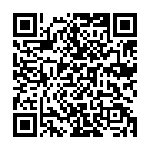 我会用最公平最公正的分配办法将你分配到适合的殿堂……二维码生成