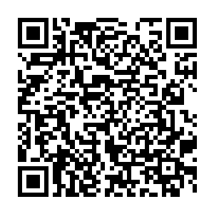 我会立即组织中医公会的一百名优秀医生来巴黎为你们义诊一个月二维码生成