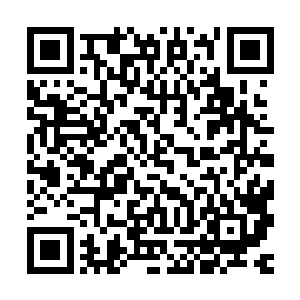 我会编几本涉及科技基础性应用的书与经典的西方战例分析讲解二维码生成