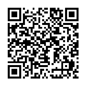 我会让他们过上最为安稳而且也绝对不会受到战火波及的生活二维码生成