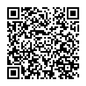 我估计……可能是过度的精神负荷导致封印出现了裂痕之类的状况二维码生成