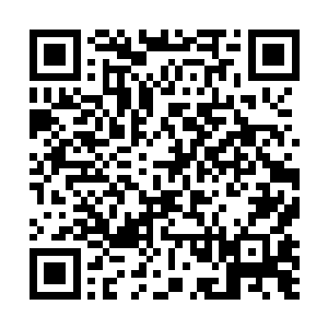 我估计……那群小家伙这会儿已经在收拾b6的安保人员们了二维码生成