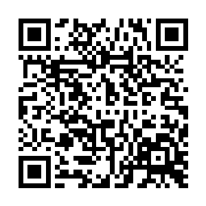 我估计那些修真界的家伙应该已经觉察到了我们的动静了二维码生成