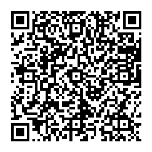 我估计随后会有一大批长三角的产业会受到劳动力价格上涨和市场需求的影响向中西部地区转移二维码生成