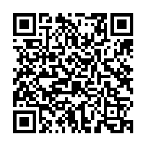 我你介绍的半恐龙可是比她强多了……我还可以带你看一看……二维码生成