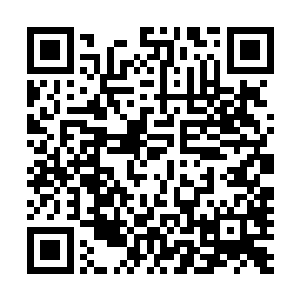 我便通过随身携带的超级计算机对这种毒素进行了分析……二维码生成