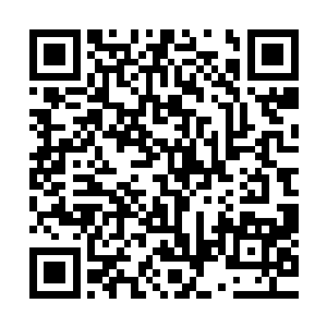 我保证这个世界上不会有第二个人能掌握制造全效药剂的秘法二维码生成