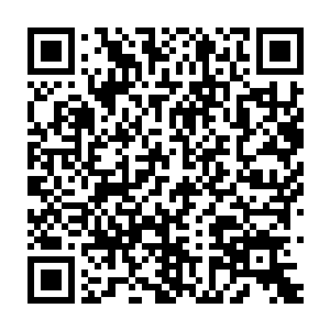 我倒是宁可小正带我去……还能正好让他去要几张明星签名什么的二维码生成