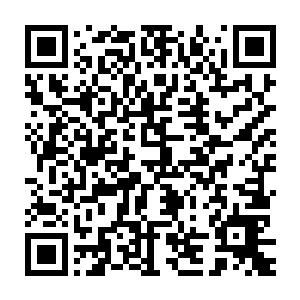 我倒要看看你们这些人怎么把中毒后没有任何实力的人带出这片山峡二维码生成