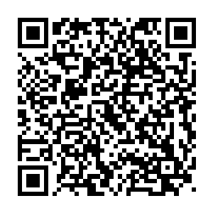 我倒要看看你当年布置的守护结界能否挡住我和狼康利斯的联手攻击二维码生成