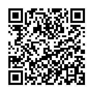 我倒要看看这个神州域百年一次的拍卖大会到底有什么了不起的二维码生成