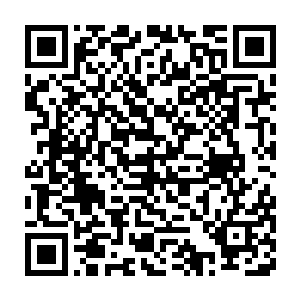 我倒觉得这个任务中遇到的npc算是目前为止我见过最不逗逼的一个了二维码生成