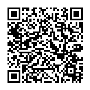 我做你的妻……我们做一对普通平凡的夫妇……我为你生一双儿女二维码生成