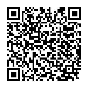 我再必须赶赴到通道所在位置……这一切都不是九秒钟内可以完成的二维码生成