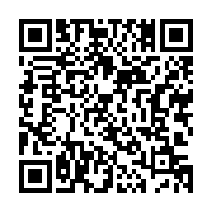 我再把阴珠里除却咕仔父亲和吕小北之外鬼魂尽数瞬移出来二维码生成