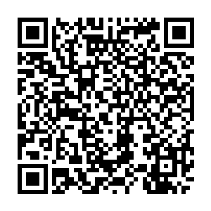 我再次把咕仔和蕊儿以及冯二蛋从阴珠里瞬移出来去对阵沿途遭遇到的鬼魂二维码生成