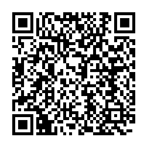我再用澹台璃之前给我的小瓶内药粉把白狐两条前腿的伤口给洒上一遍二维码生成