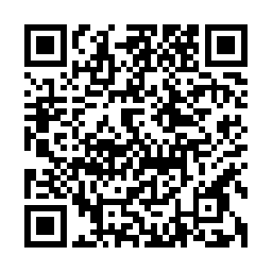 我冒昧地问一句……陈真人似乎还有继续跟青罡门放对的打算二维码生成