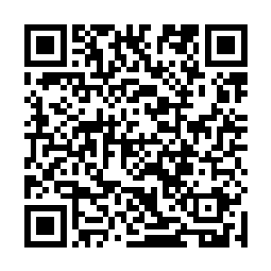 我决定把海马和海葵的养殖也逐步的全部放到雁湖村来二维码生成