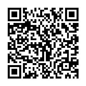 我冷笑l他也只是中等鬼王罢了l我现在的实力〢杀他如屠狗〢二维码生成