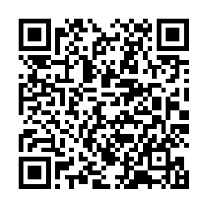 我准备在你的修为提升到元婴期后期的时候再教你炼器二维码生成