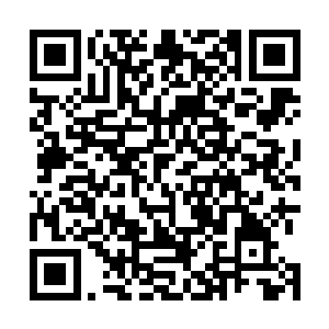 我准备好就会来找你……这次……我希望能和你死在一起二维码生成