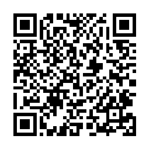 我几乎已经在心底里认定了杨云晖的死他是脱不开干系的二维码生成