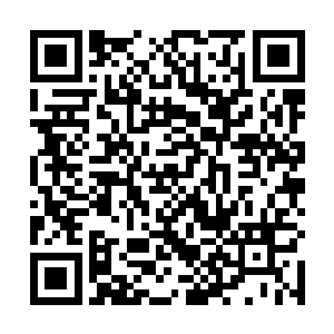 我凭自己的狠劲儿和实力通过无数生死厮杀才成为塔主二维码生成