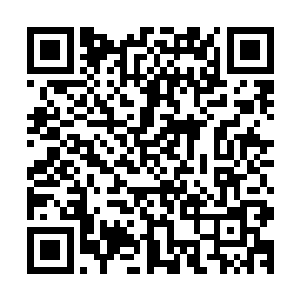 我刚刚在陶家宝库中得到的那件残破神甲会不会是还真太始的二维码生成