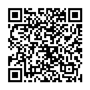 我刚刚看到少林武术表演团的人坐着大巴经过咱们门口二维码生成