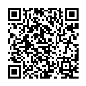 我刚才只不过是有些气不顺……想要揉揉……你什么眼神……二维码生成