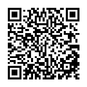 我刚才就给你打电话问问是不是你搞的鬼你个臭小子还不接电话二维码生成