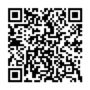 我刚才要不是无意看到你那段儿熟悉传承的记忆二维码生成