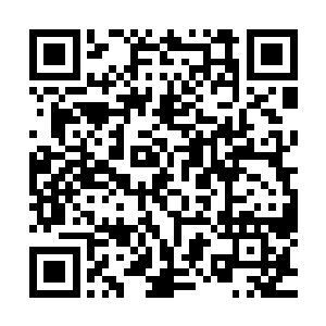 我刚才说……我没说……族长的气息是你说的我只是重复一遍二维码生成