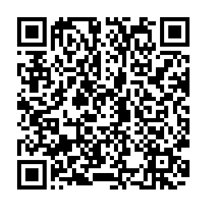 我到的确可以更加仔细跟认真的考虑一番你刚才那些所谓的能够实现双赢的建议二维码生成