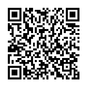 我却不由的感激她过去的丰富实战经验造就的灵敏反应了二维码生成