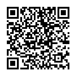 我原以为设立审计署在中国已经是项了不得的创举了二维码生成