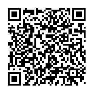 我原本还以为可以到这里看看那简化版的血海神池是什么样子的呢二维码生成